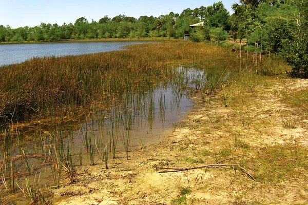 Northwood Village Street Fair